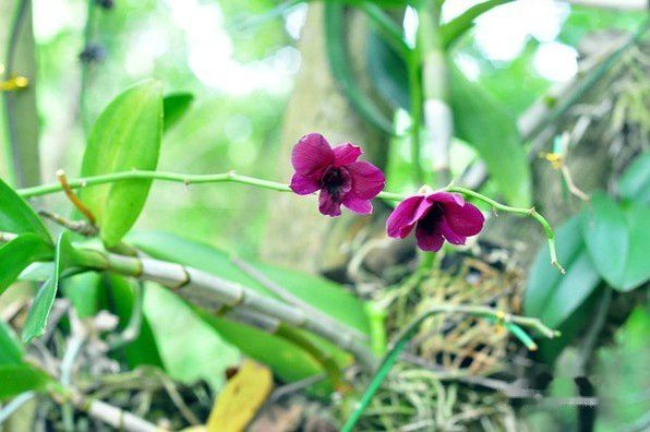 三亚自助游图片