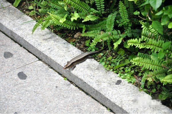 三亚旅游攻略图片