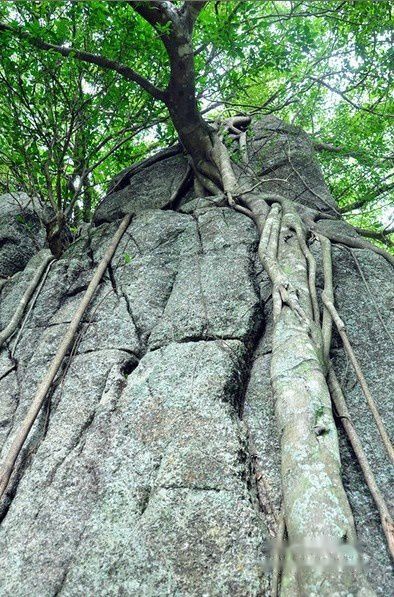 三亚旅游攻略图片