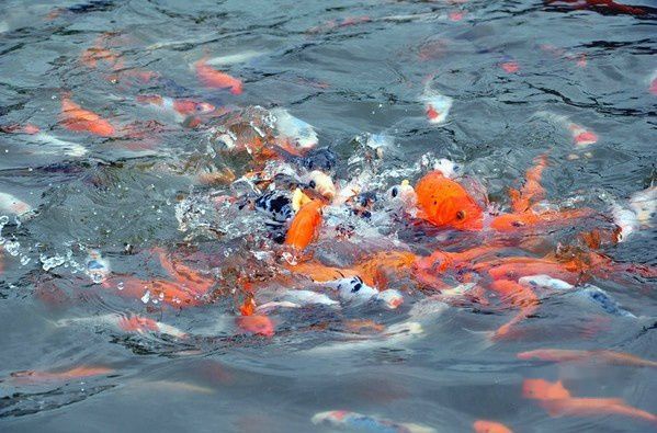 三亚自助游图片