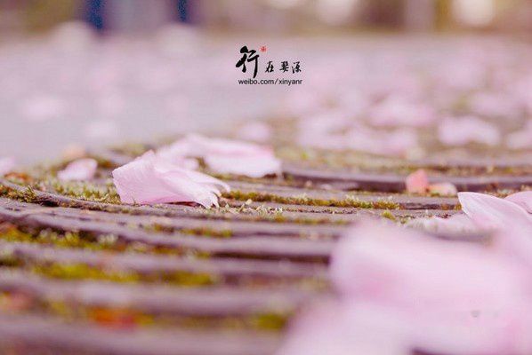 婺源旅游攻略图片