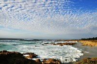 驾者无疆美国行2：最美私家路17mile Drive.