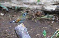 云南之旅D4【原创-摄影】