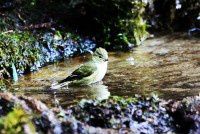 云南之旅D8【原创-摄影】