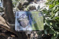 曲水园九峰一览