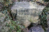 古树名木0602罗汉松200年【青浦曲水园】假山