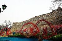 梅花已盛开【原创-摄影】