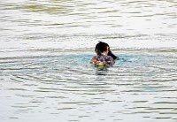 再拍凤头鸊鷉【原创-摄影】