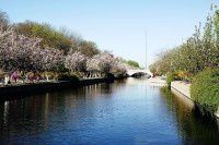 海棠花溪行【原创-摄影】