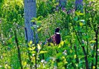 失望的等待【原创-摄影】