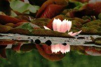 奥森闲拍【原创-摄影】