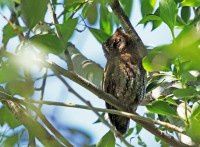 再去北植【原创-摄影】