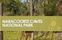 澳大利亚自由行（5）世界自然遗产地——纳拉库特洞穴国家公园