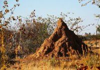 纳米比亚行D4【原创-摄影】