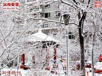 中国辽宁沈阳2018春雪