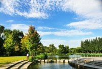 【原创】海淀公园末伏小景