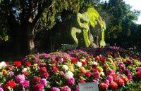 假期的中山公园【原创-摄影】