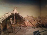 游磁山文化遗址（下）